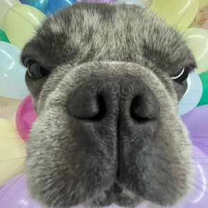 Meet your Posher, Vera